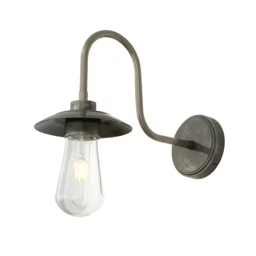 Ren Swan Neck Wall Light