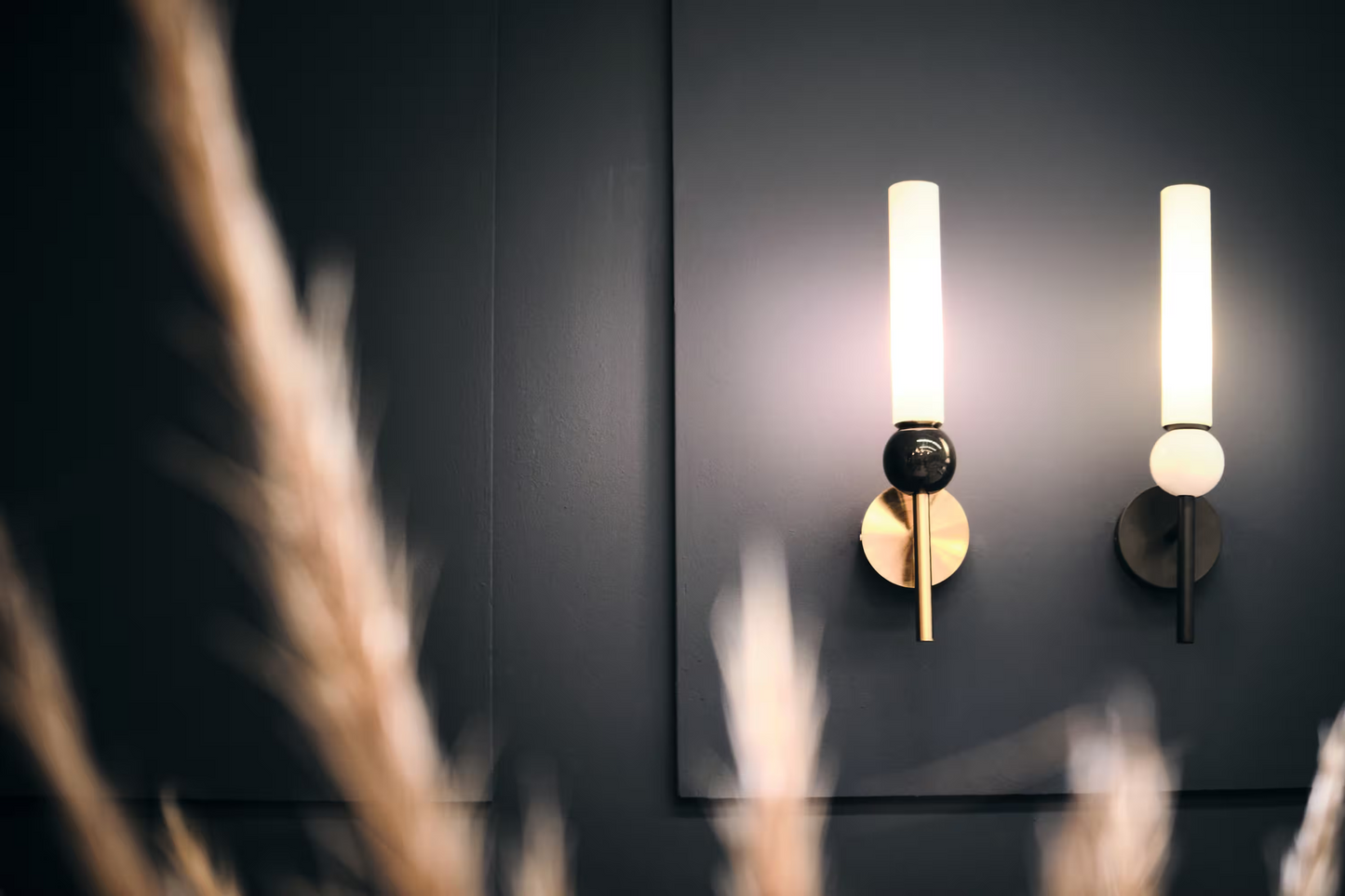 Delie LED Wall Light