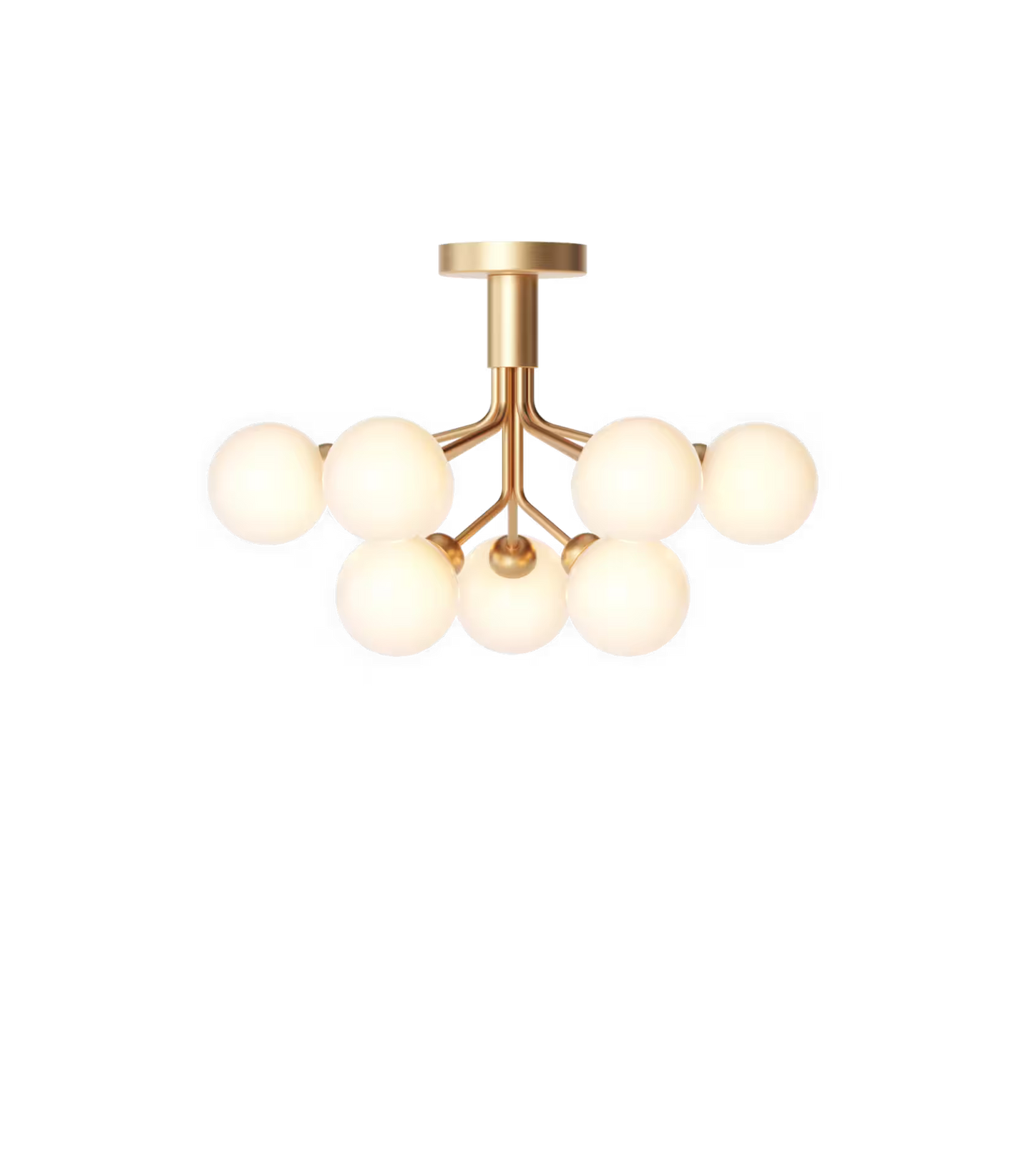 Apiales 9 Ceiling Light