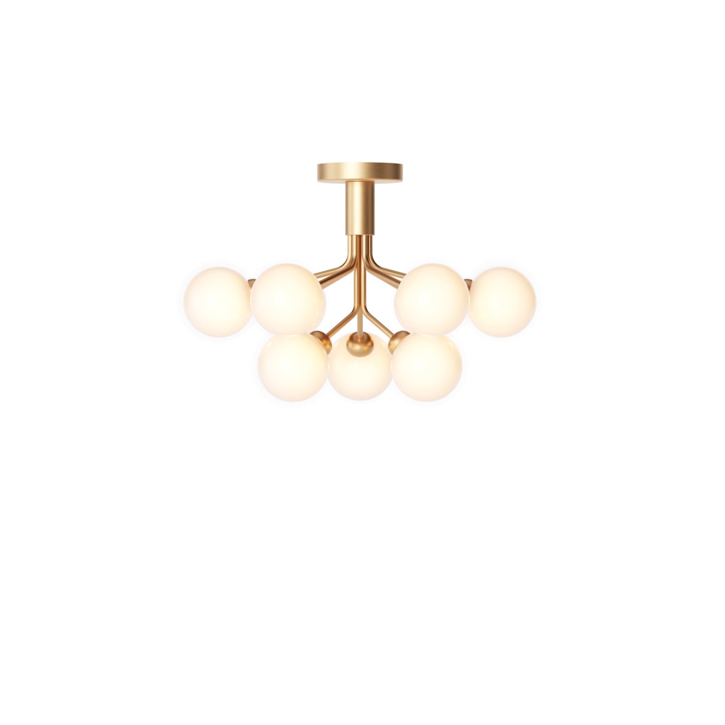 Apiales 9 Ceiling Light
