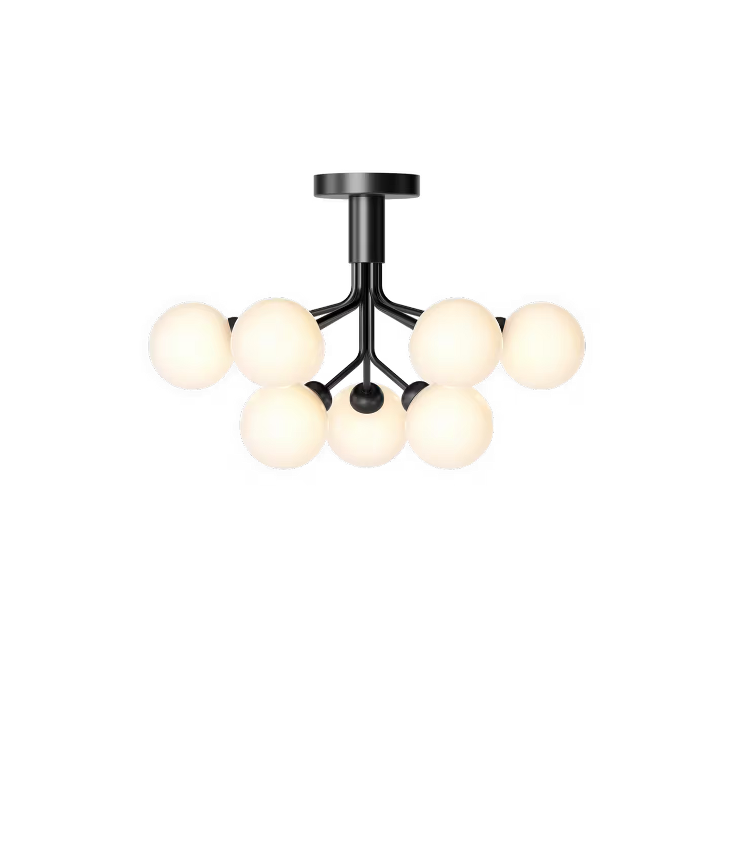 Apiales 9 Ceiling Light