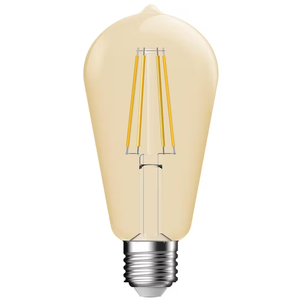 Light Bulb E27 ST64 Edison 5.4W