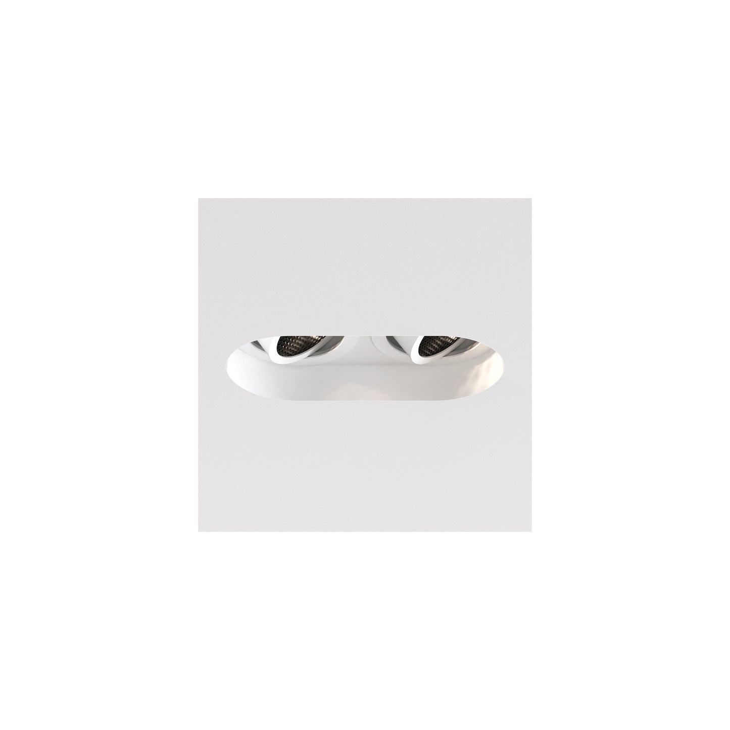 Trimless Round Twin Adjustable Ceiling Light
