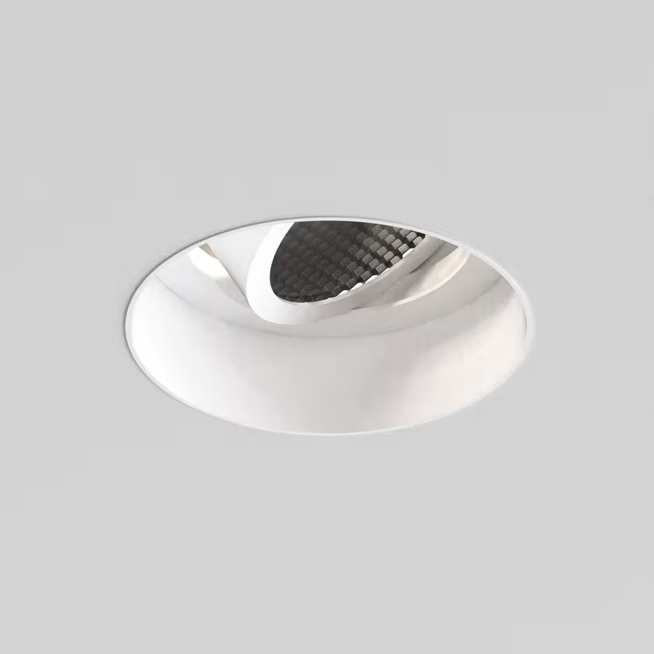 Trimless Round Adjustable Ceiling Light