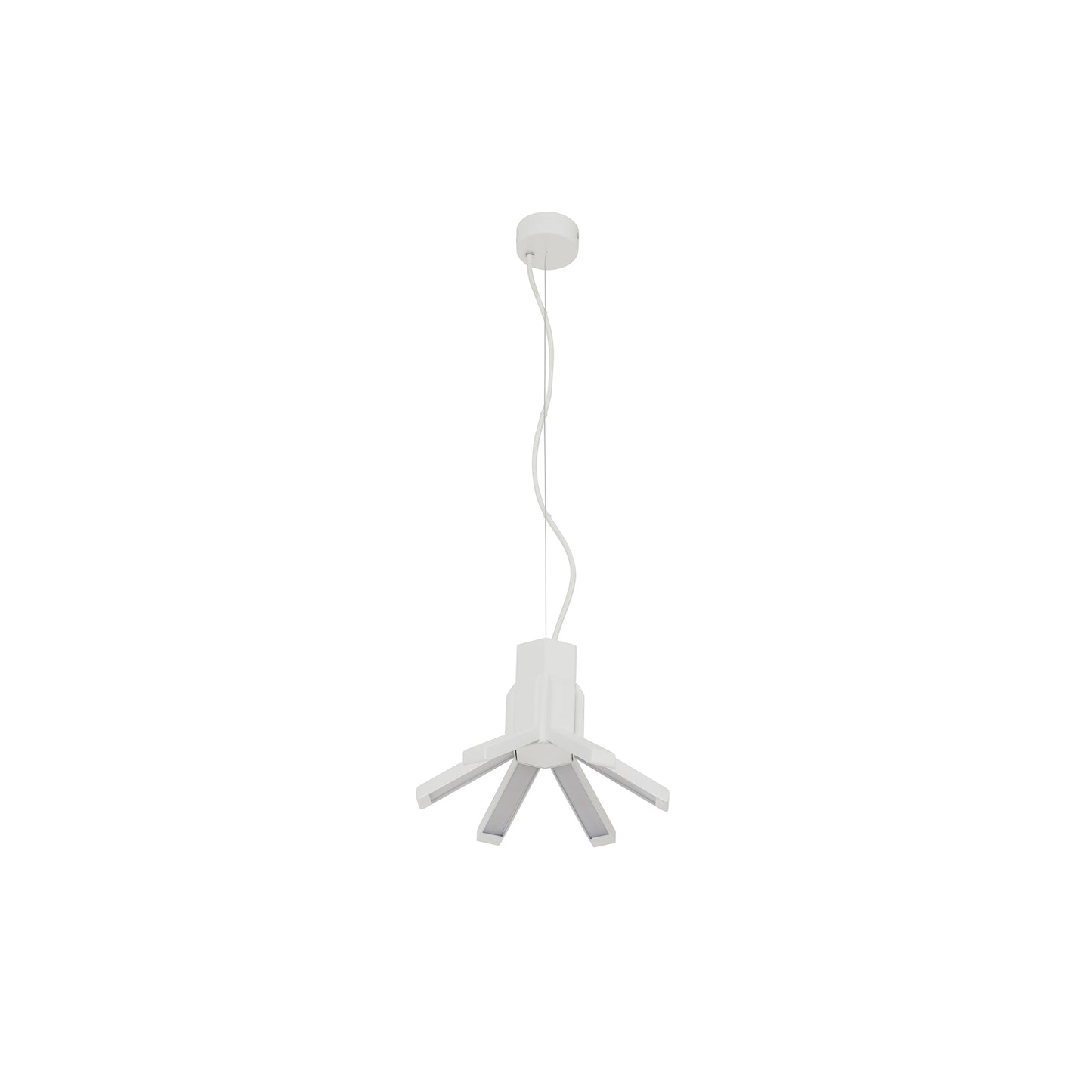 Aster M LED Pendant