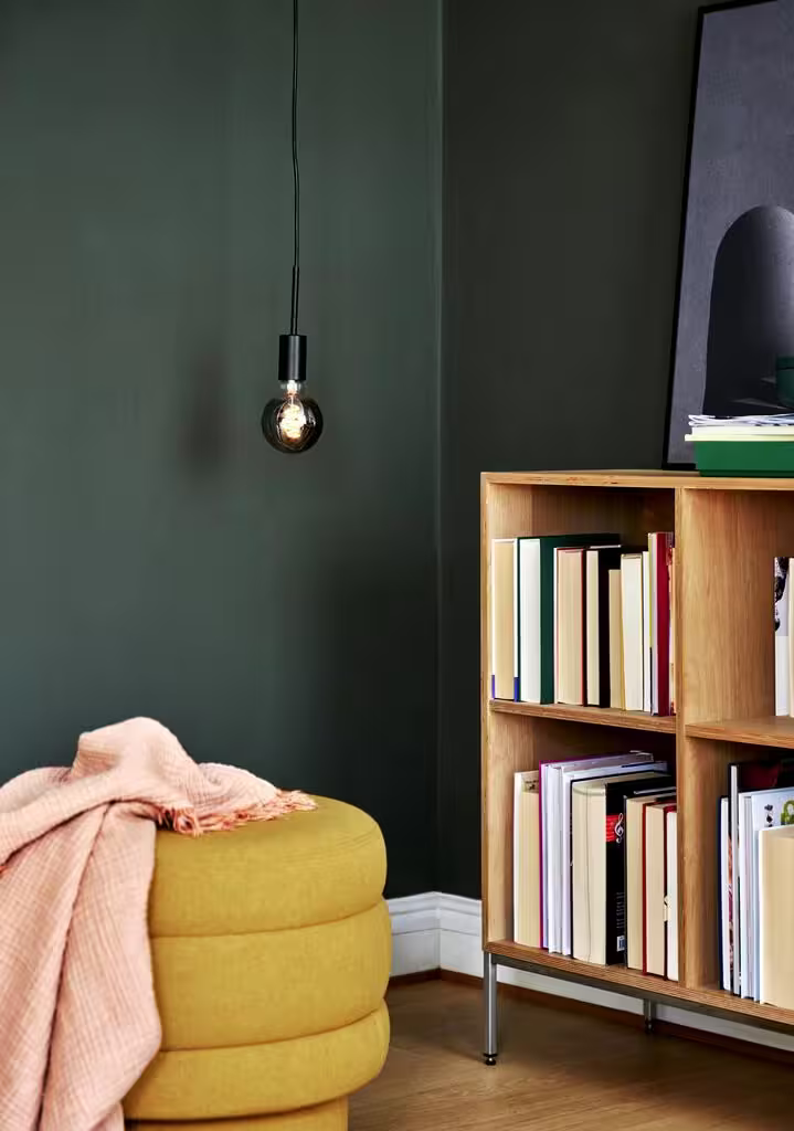 Paco 1-Light Pendant