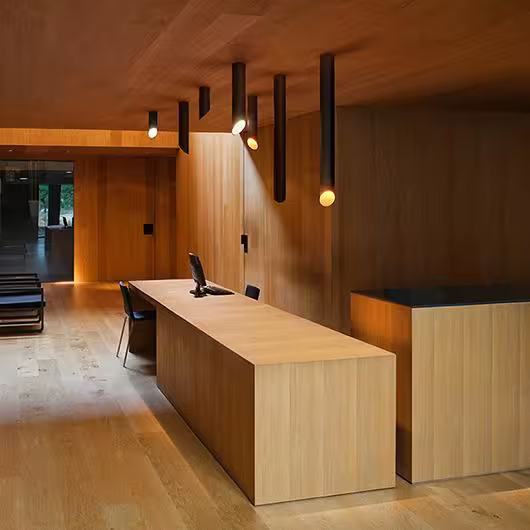 45° 8252 Ceiling Light