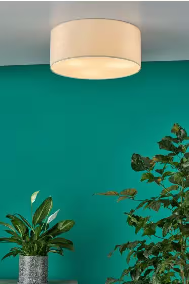 Cierro 3-Light Flush Mount
