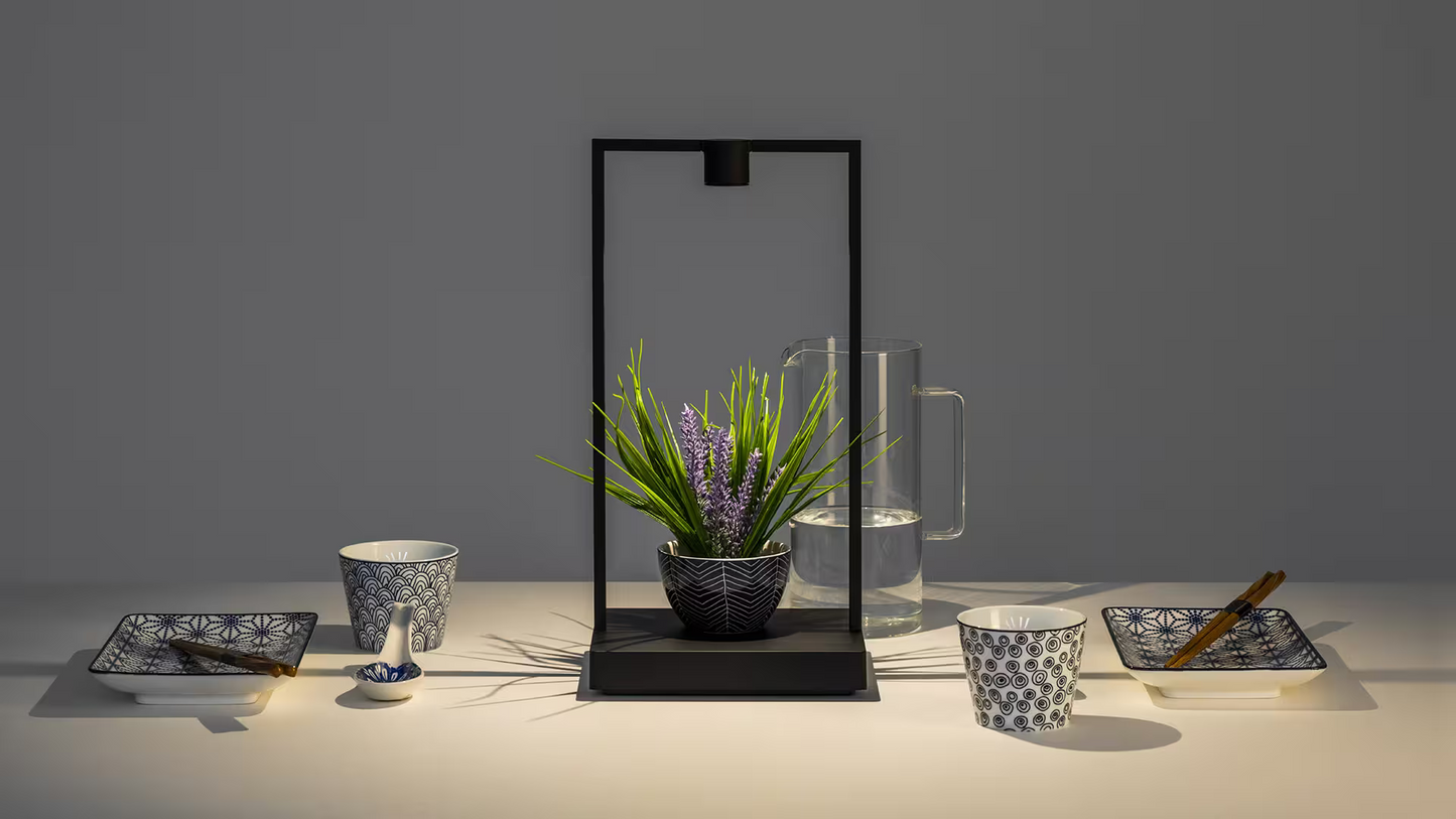 Curiosity 45 LED Table Lamp