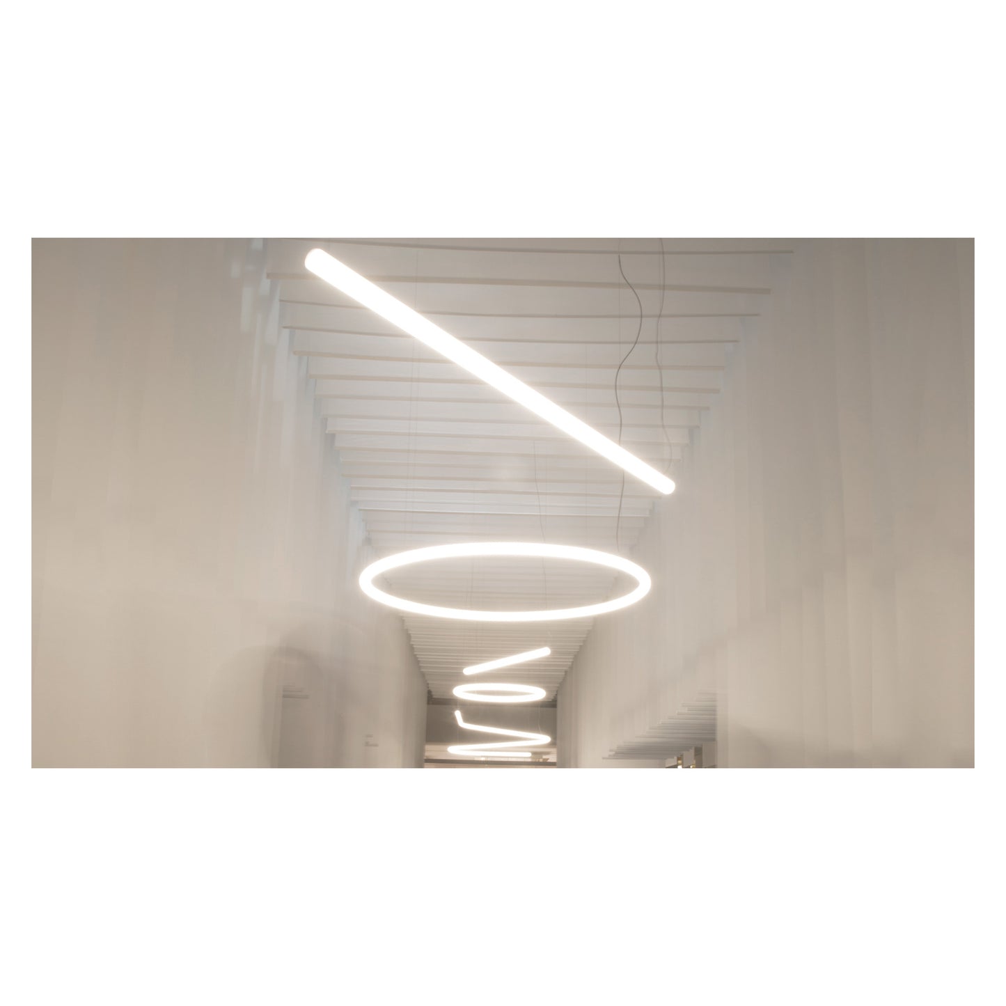 Alphabet of Light Circular 155 LED Pendant White