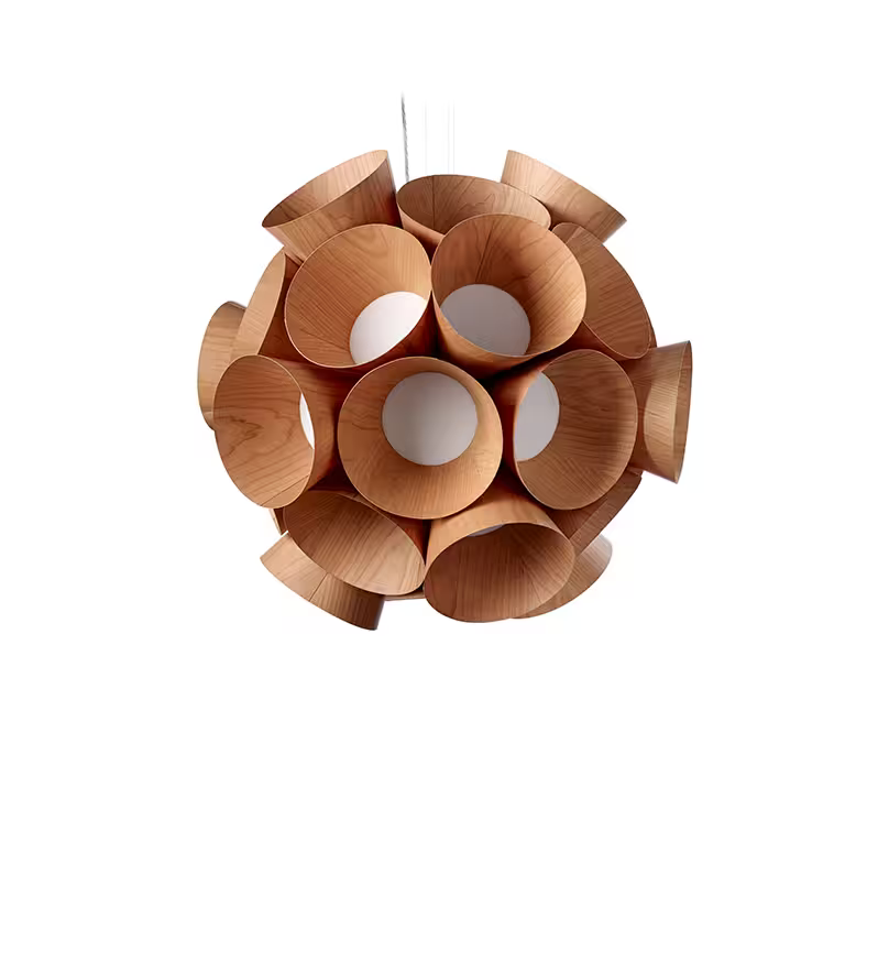 Dandelion LED Pendant
