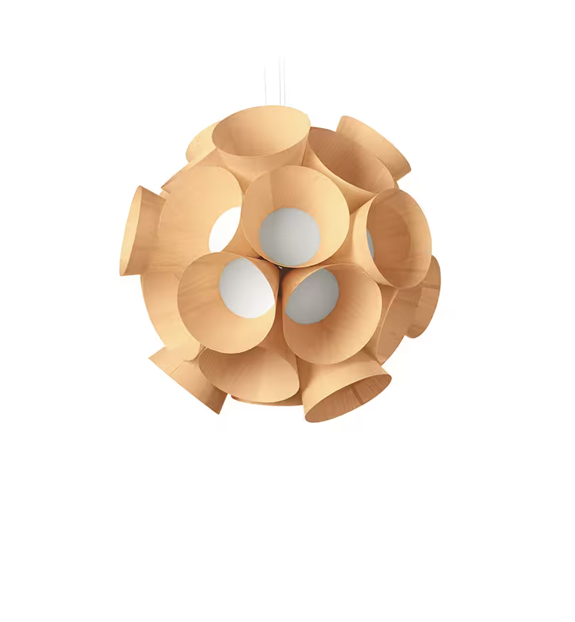 Dandelion LED Pendant
