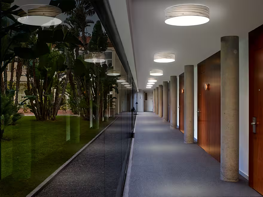 Gea Medium Wall & Ceiling Light