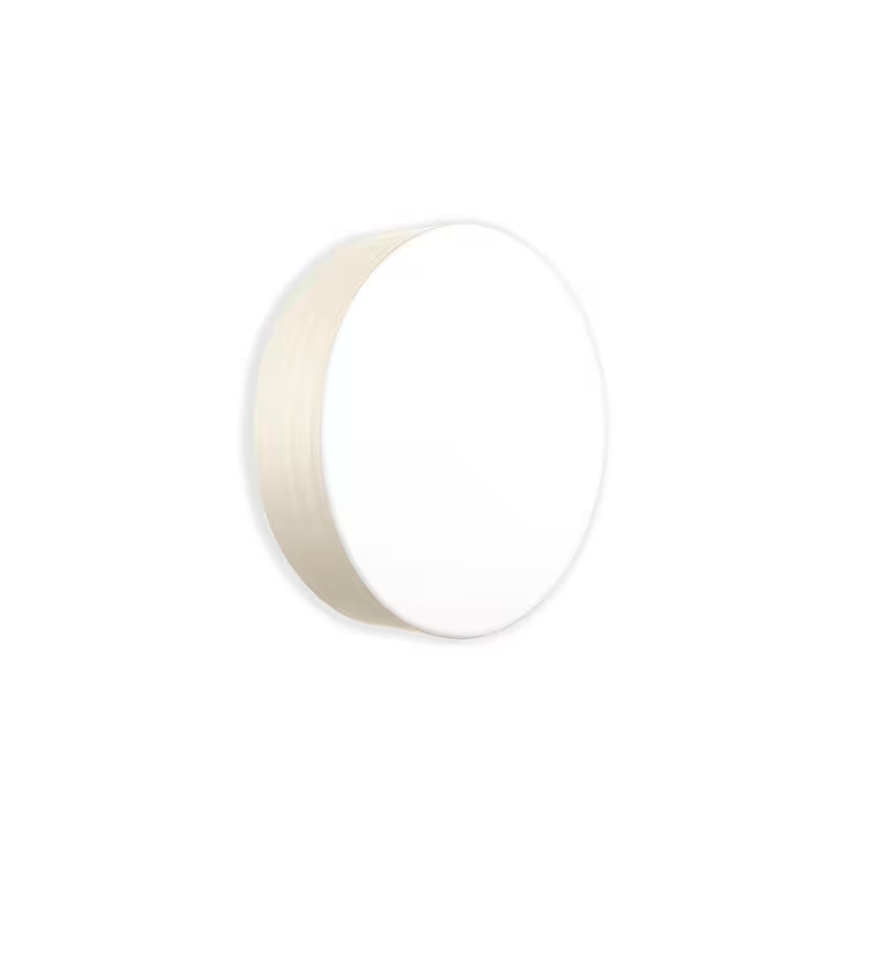 Gea Large Wall & Ceiling Light