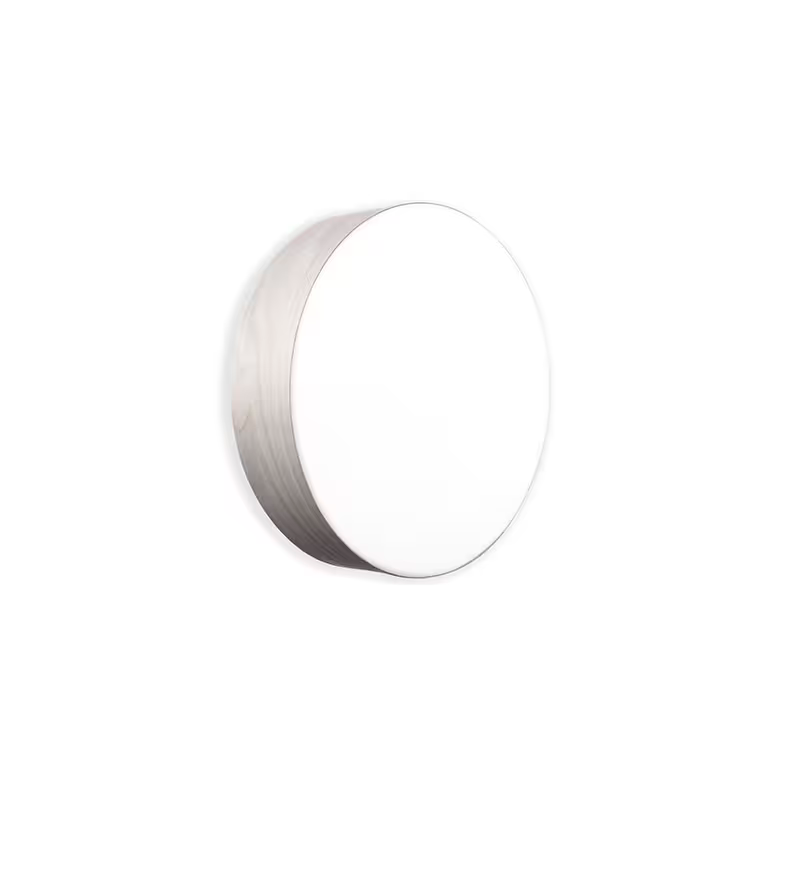Gea Large Wall & Ceiling Light