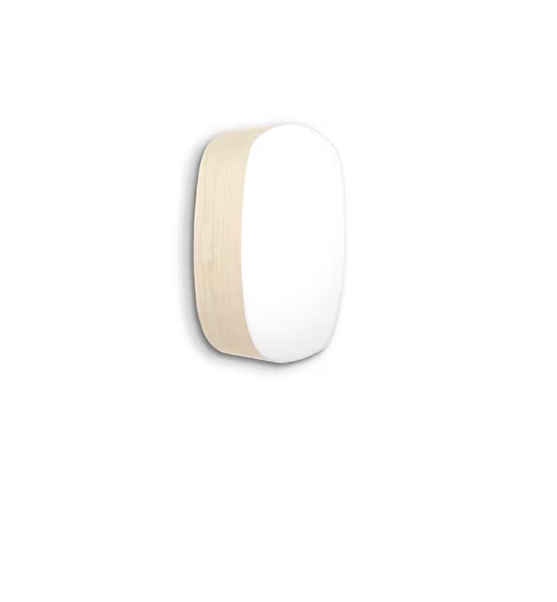 Guijarro Medium Wall & Ceiling Light