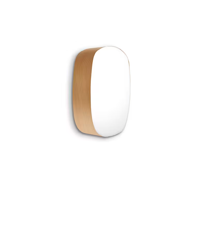 Guijarro Medium Wall & Ceiling Light