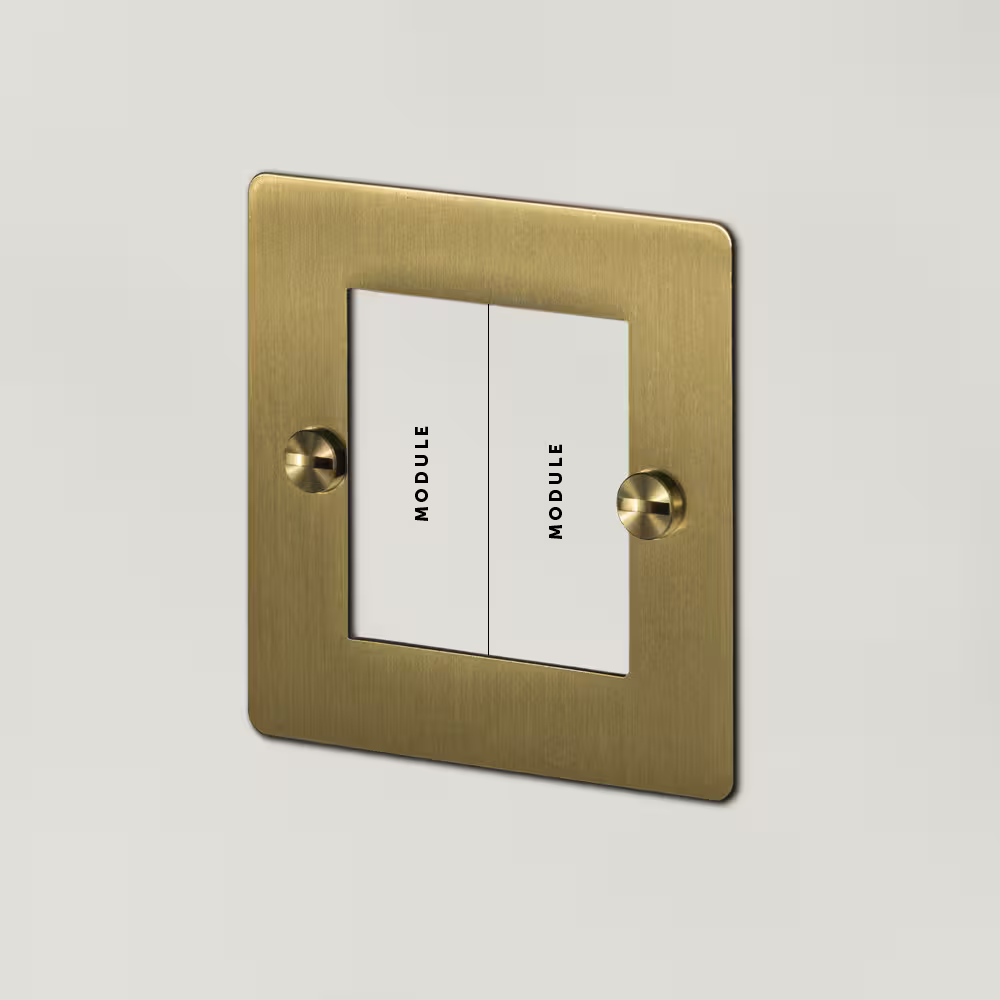 1G Euro Plate 2 Module
