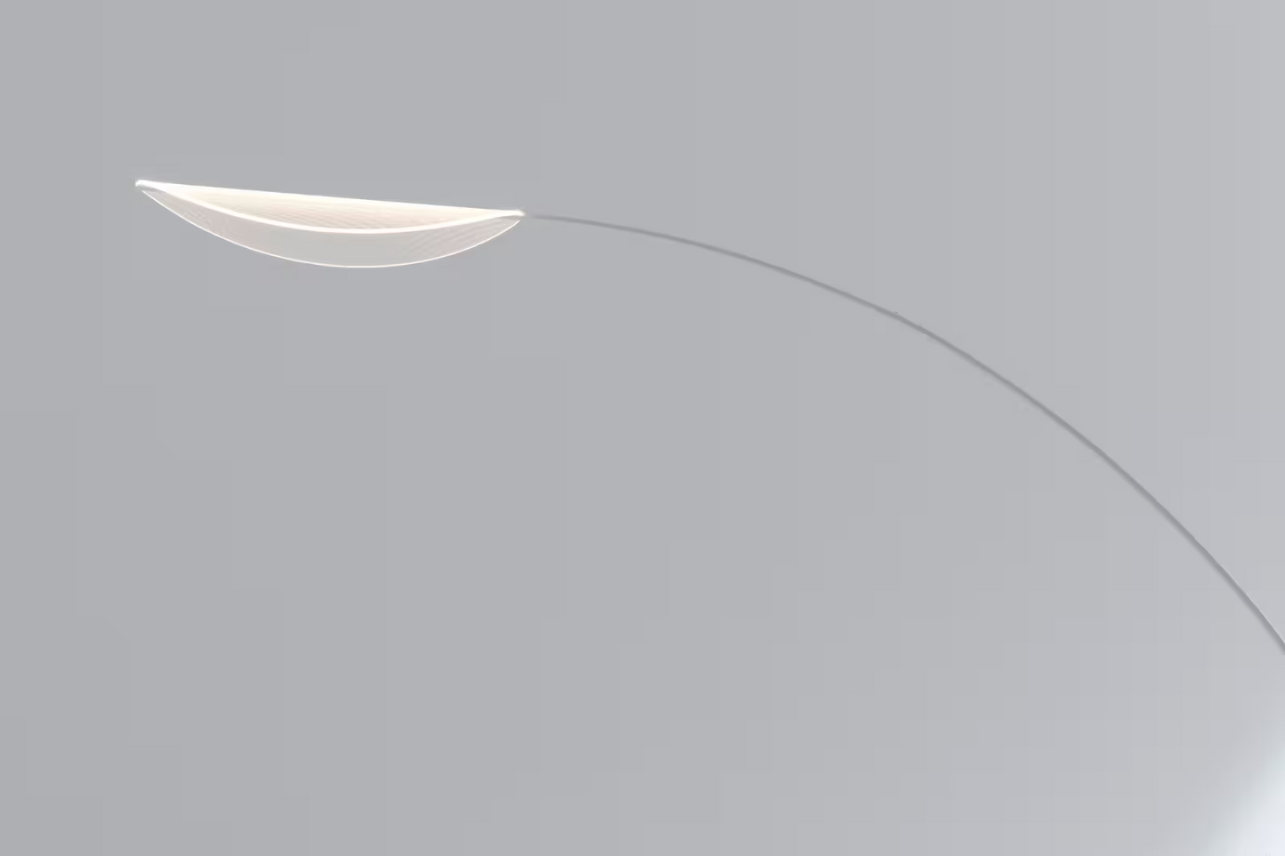 Diphy Floor Lamp