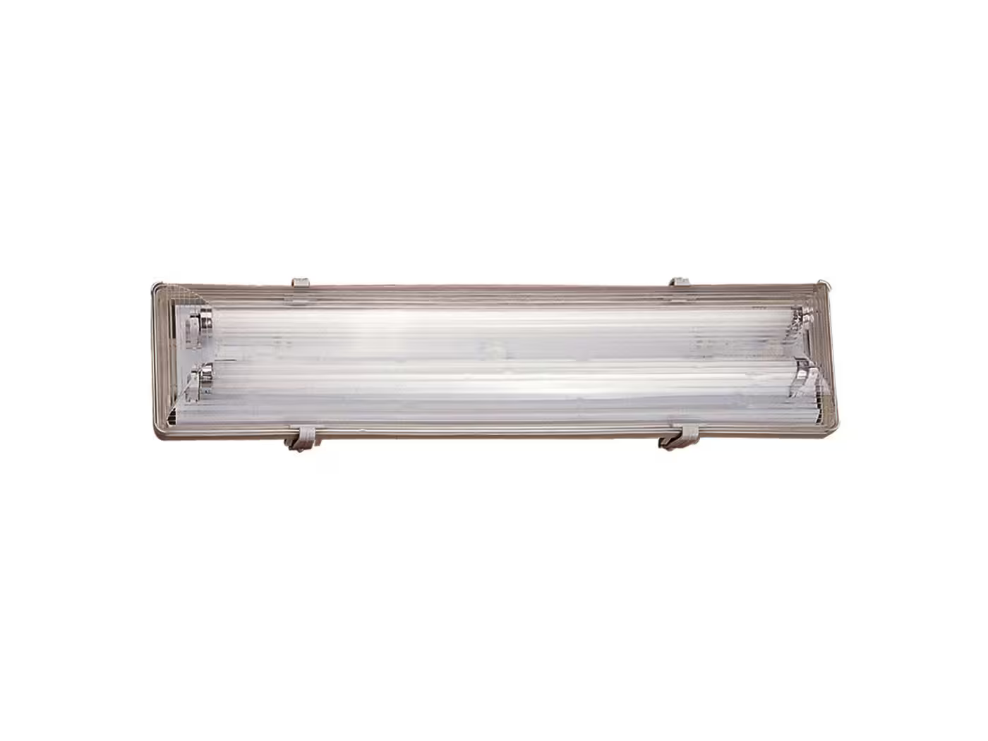 Works IP65 2-Light Outdoor Wall or Ceiling Light