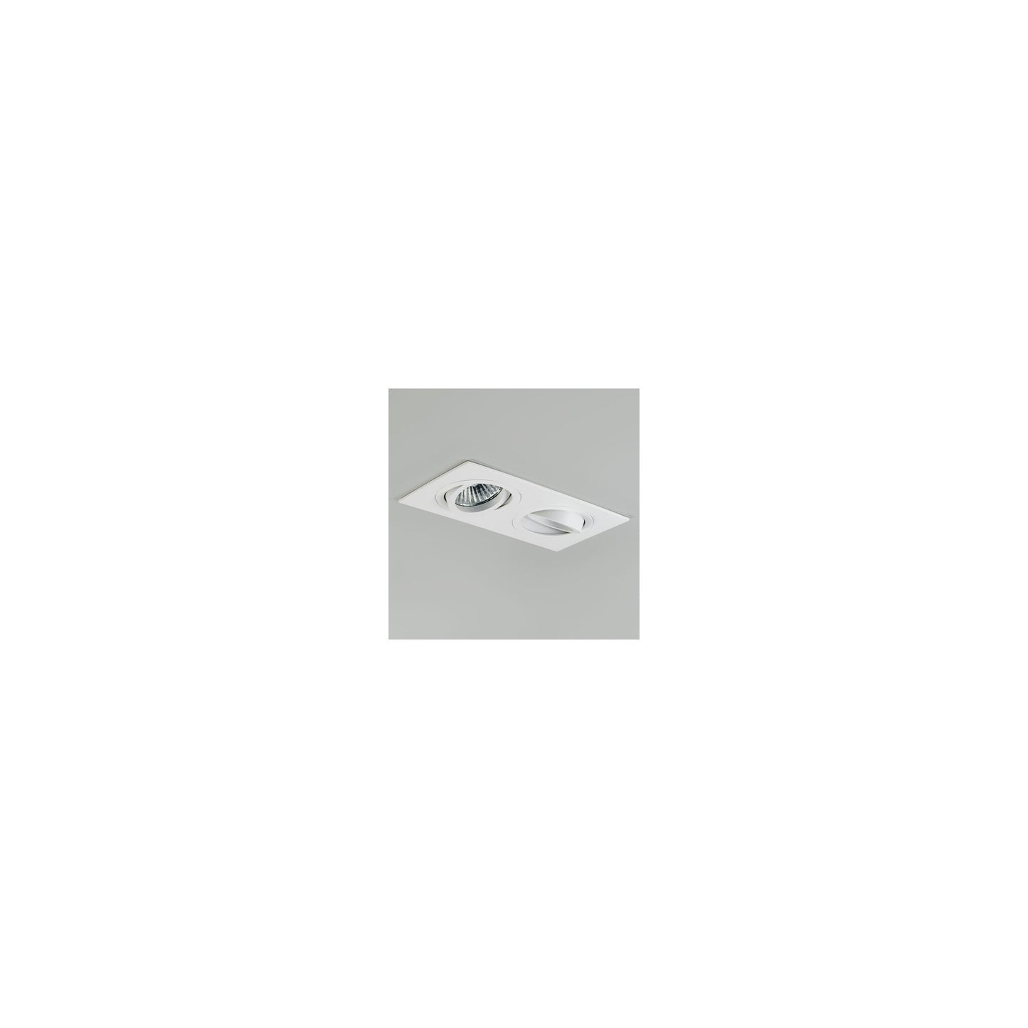 Taro Twin Adjustable Interior Downlight
