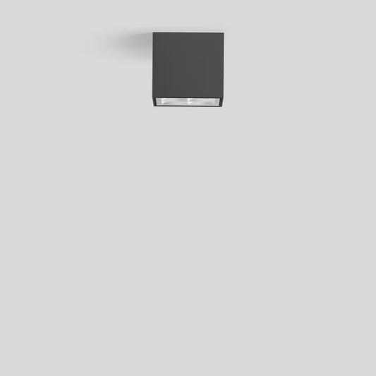 66157 LED Ceiling/Wall Light