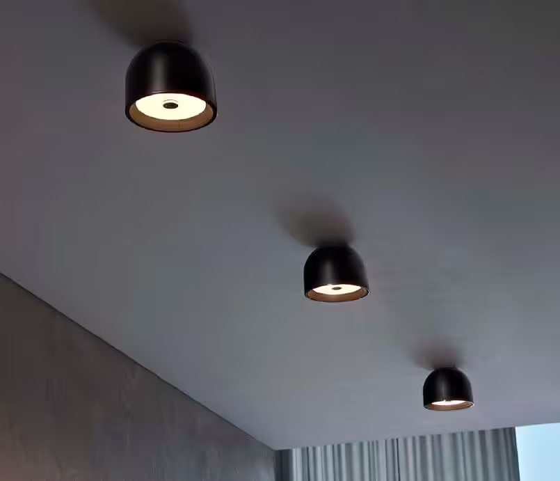 Wan Ceiling or Wall Light