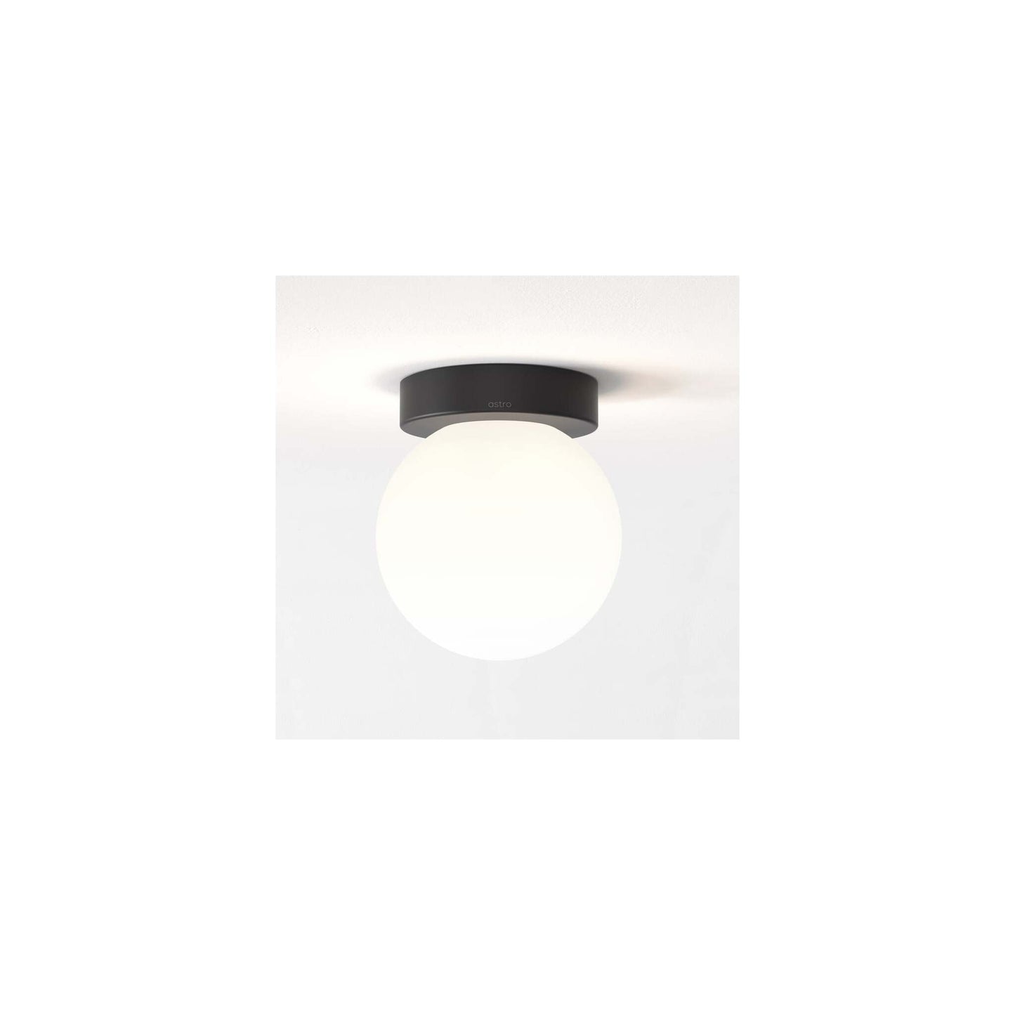 Tacoma Surface Ceiling Light