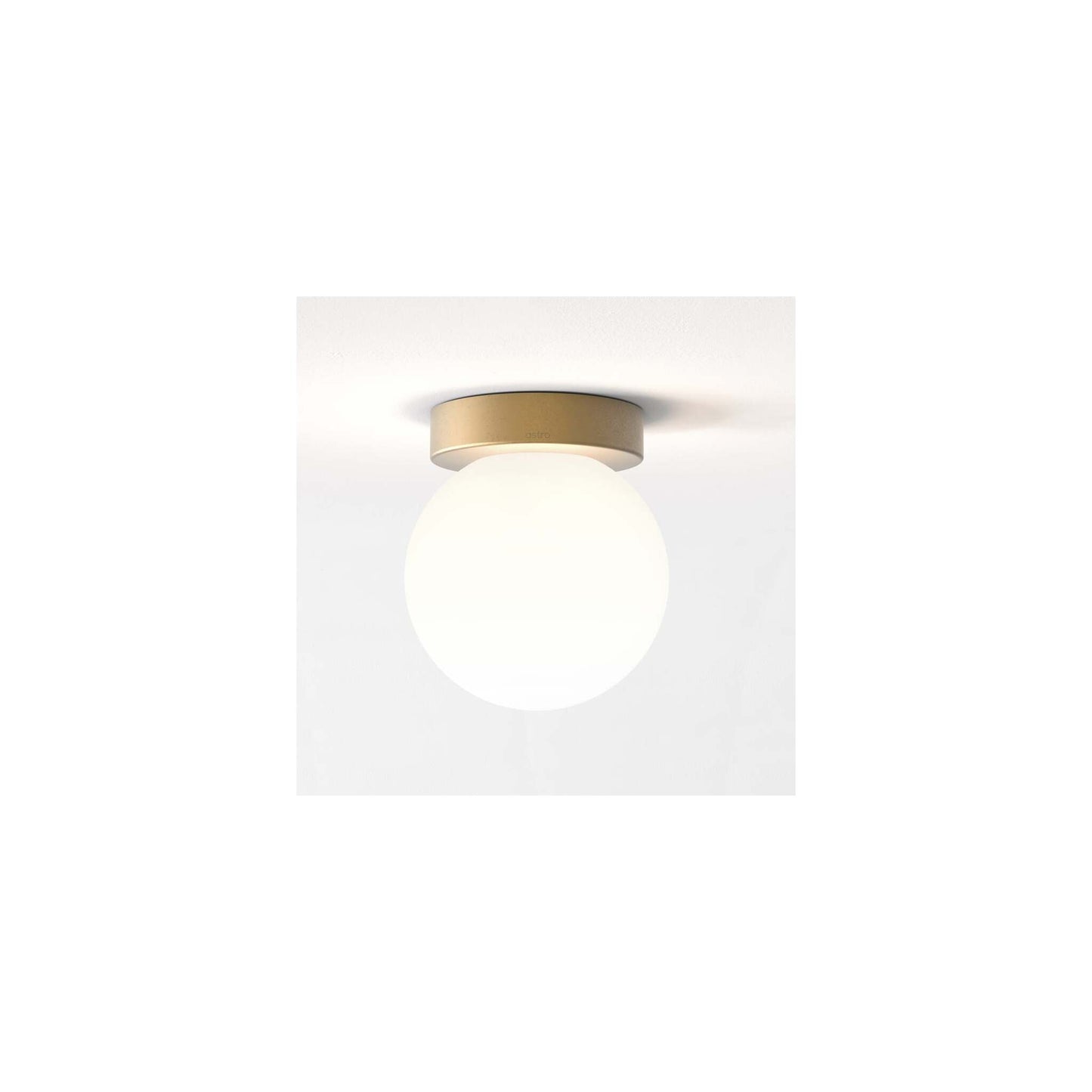 Tacoma Surface Ceiling Light