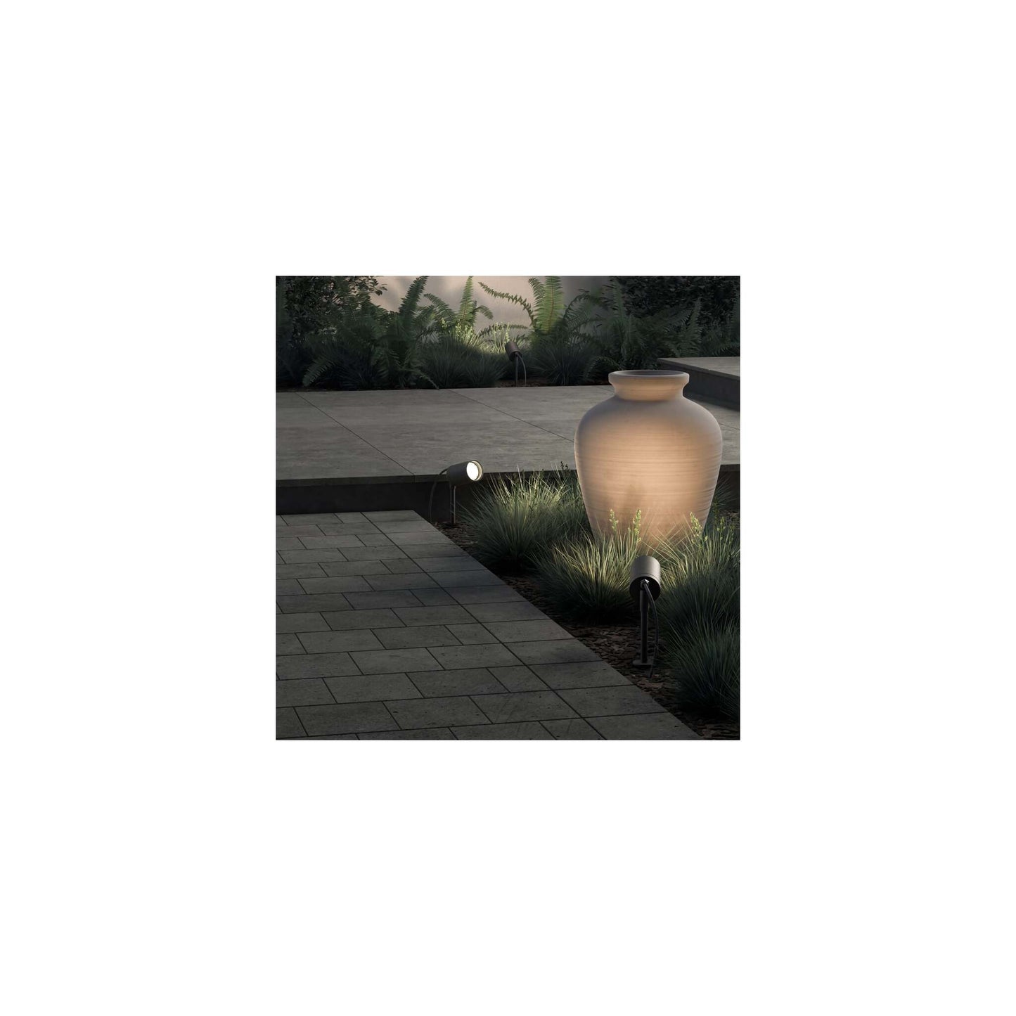 Dartmouth Spike Spotlight