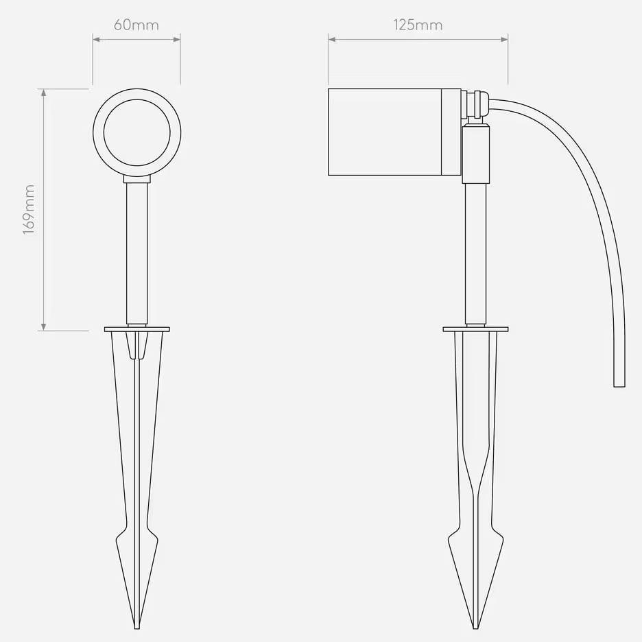 Dartmouth Spike Spotlight