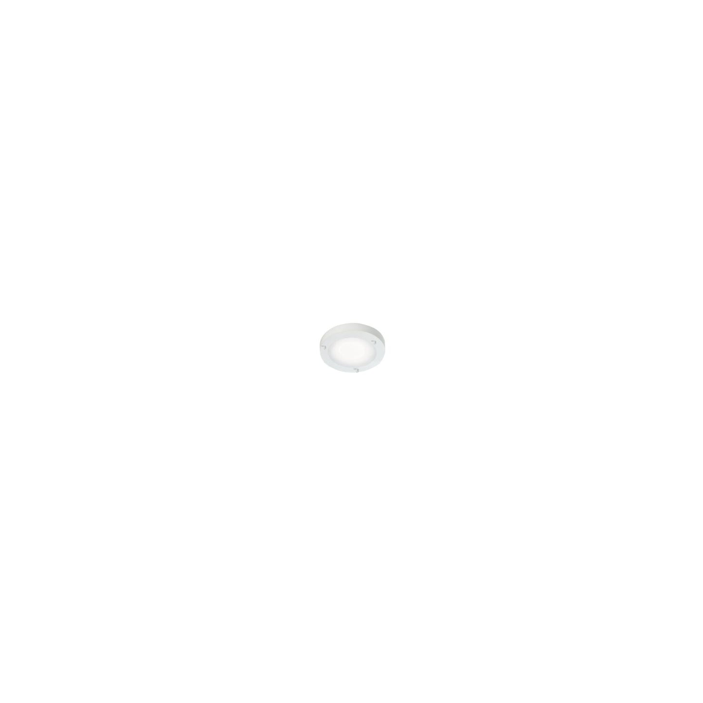 Ancona LED Ceiling Light