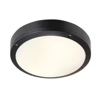 Desi 28 Outdoor Ceiling Light