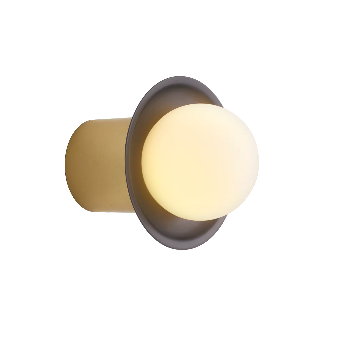 Janed Wall Mounted Light