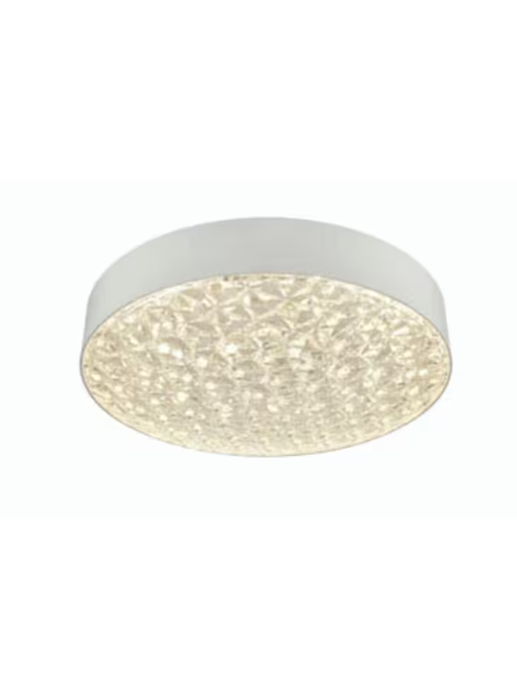 LED Polycarbonate Ceiling Light IP44