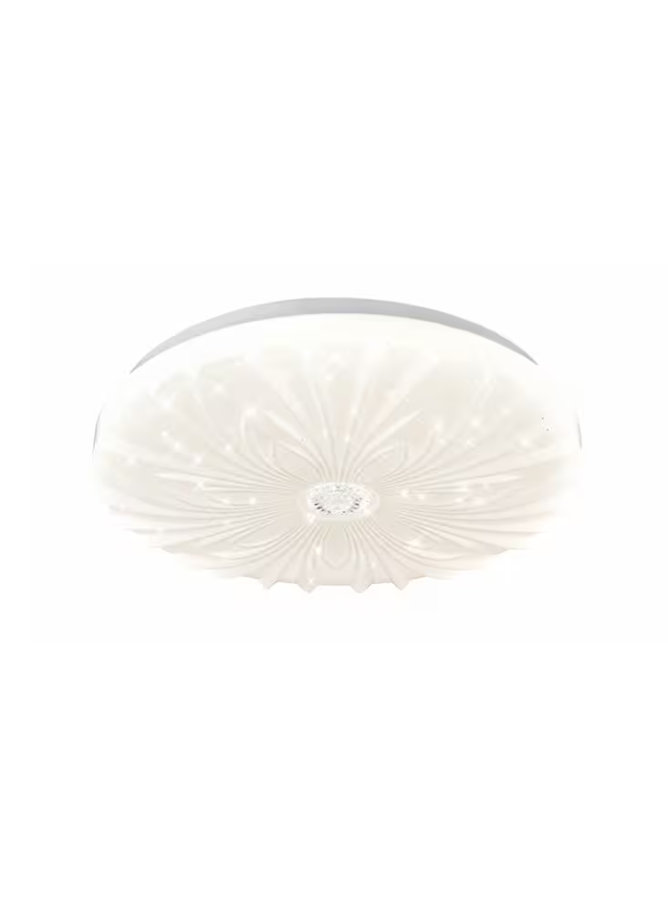 LED Polycarbonate Ceiling Fitting IP44