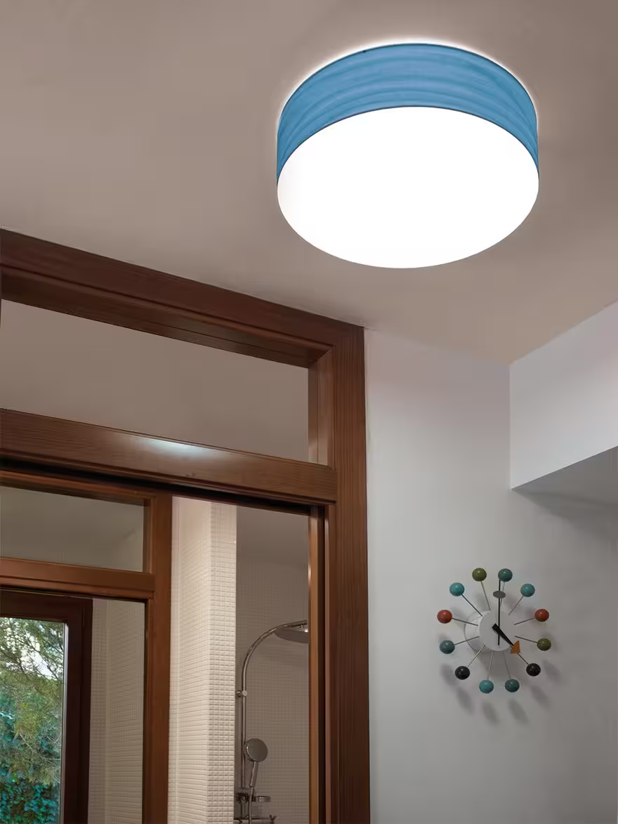 Gea Large Wall & Ceiling Light