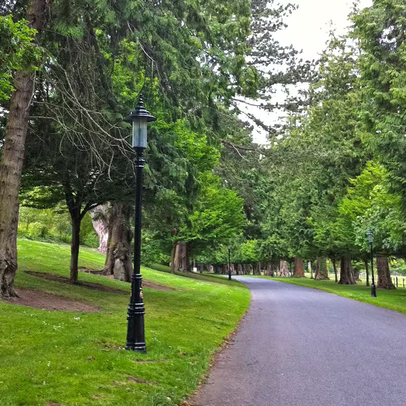 Georgian Style Lamp Post In Cast Iron And Steel 3.5M