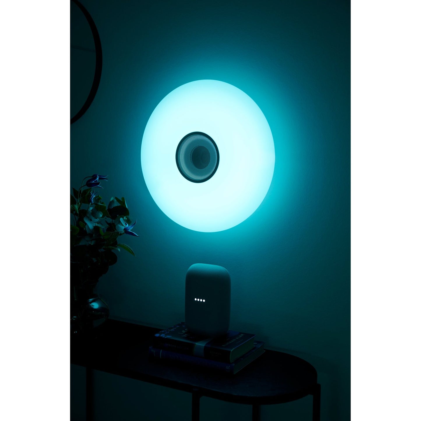 Djay Smart Color Ceiling light in White