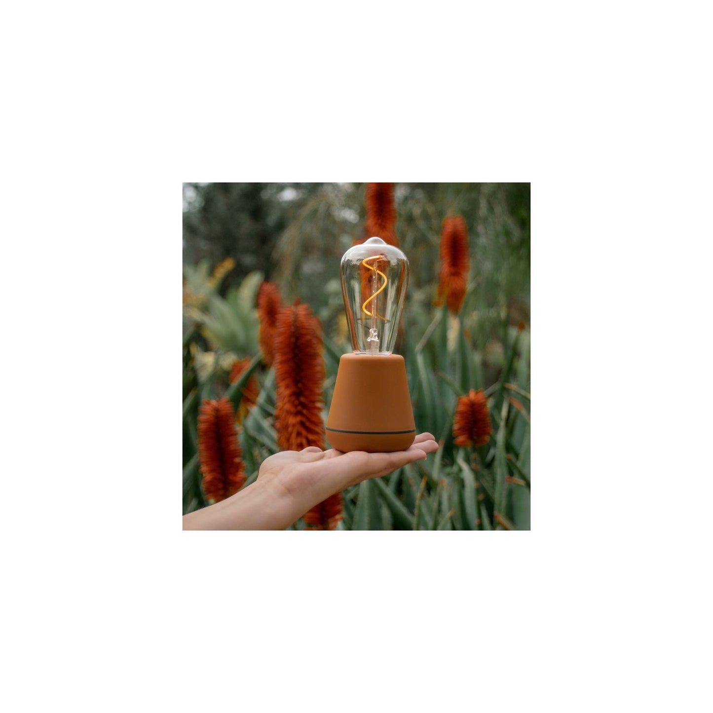 ST64 Bulb Clear PET