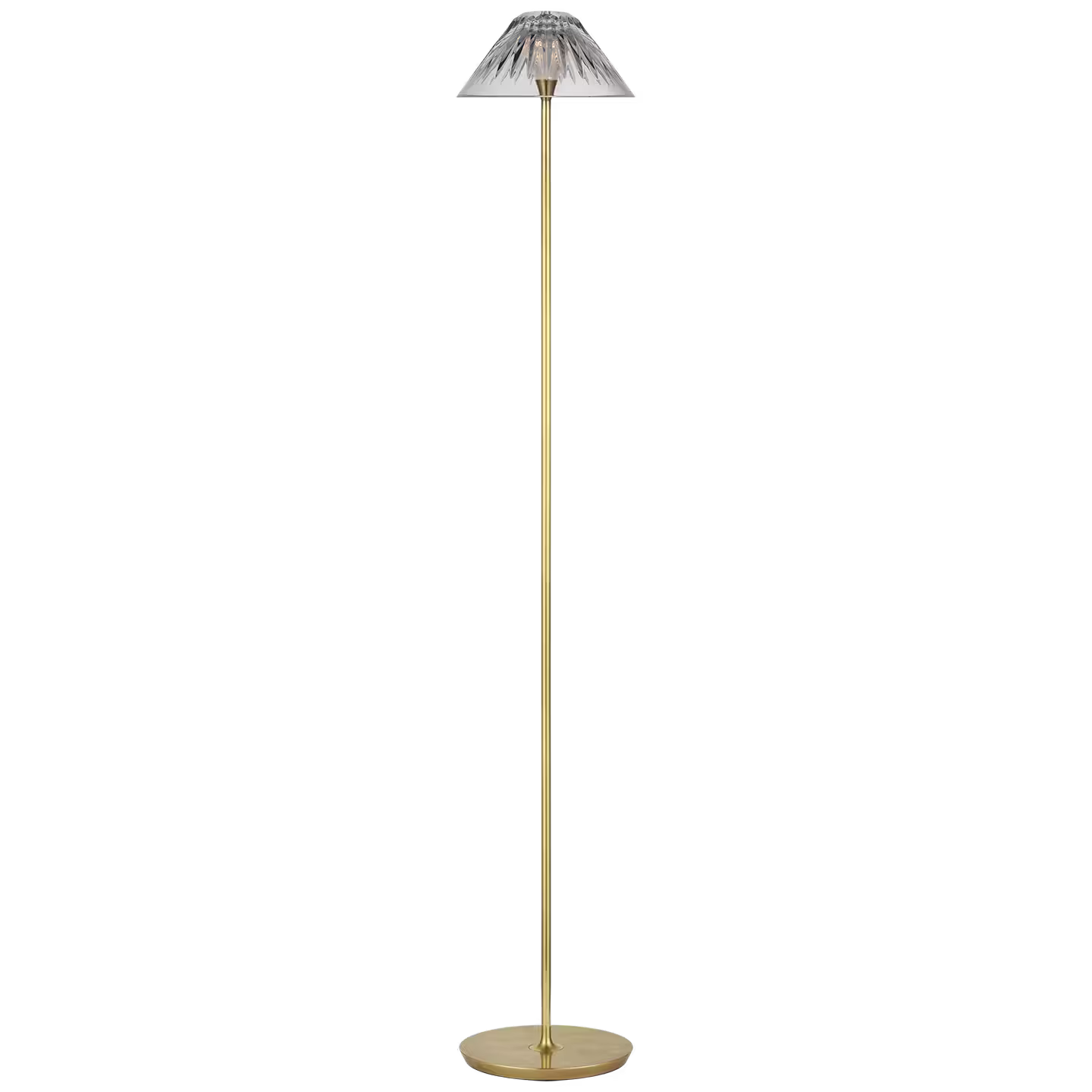 Blaze 55" Floor Lamp