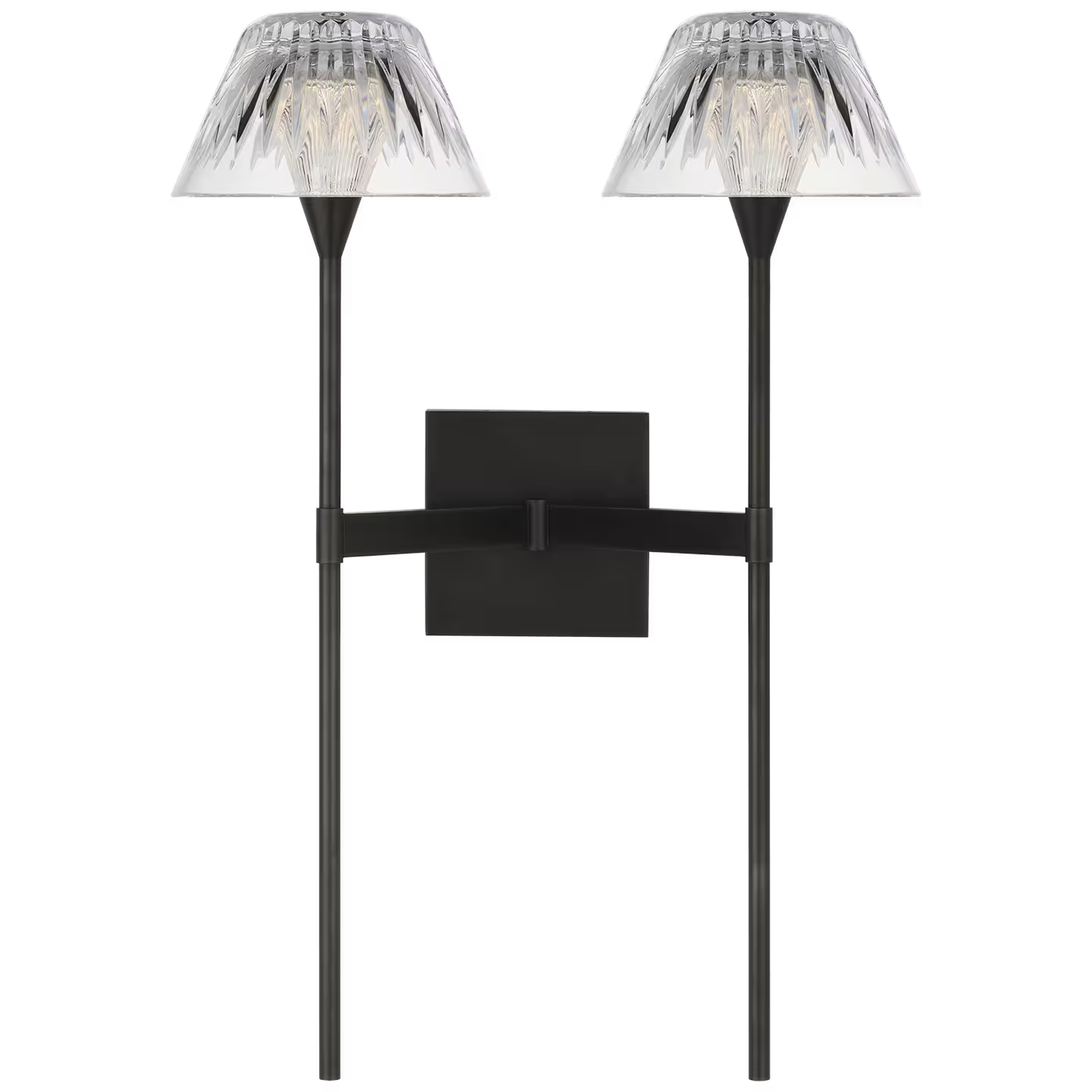 Blaze 19" 2 Light Tail Sconce