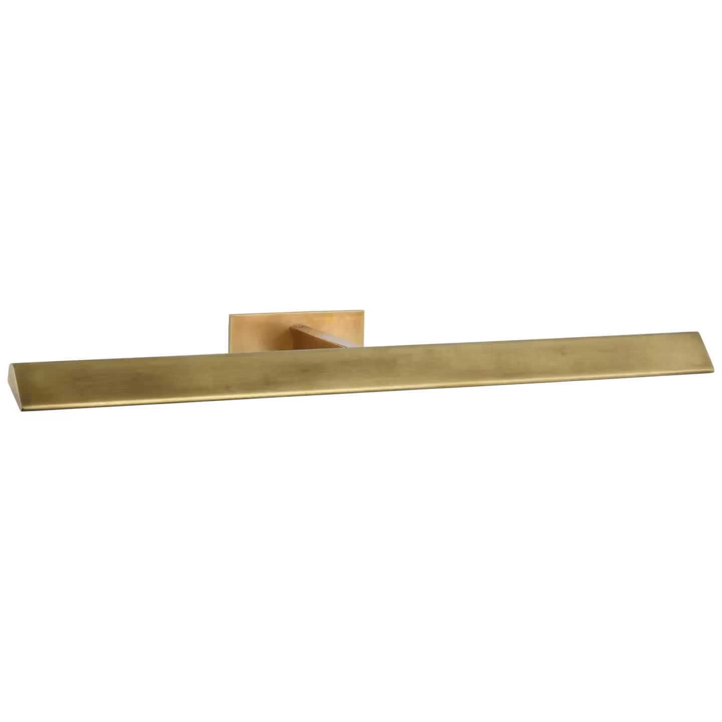 Petrel Picture Light