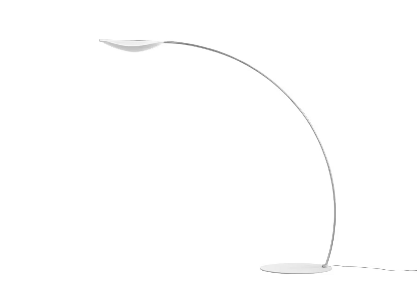 Diphy Floor Lamp