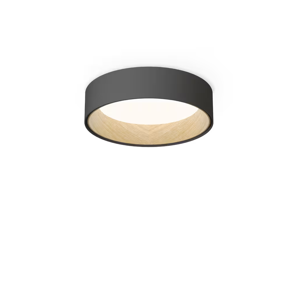 Duo 4870 4000K Ceiling Light
