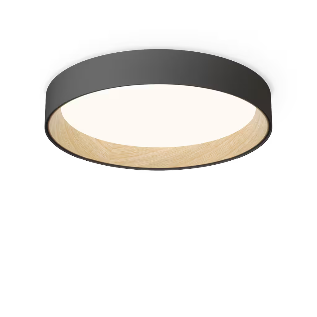 Duo 4872 4000K Ceiling Light