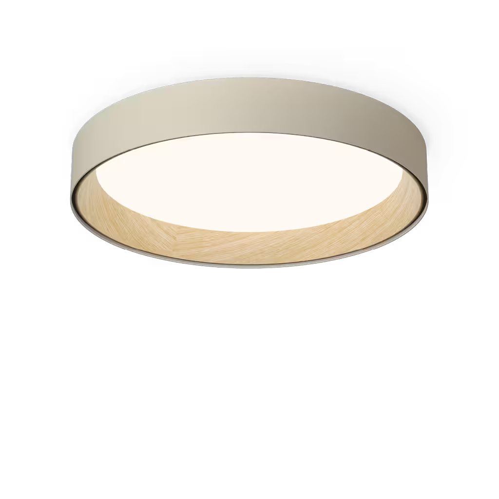 Duo 4872 4000K Ceiling Light