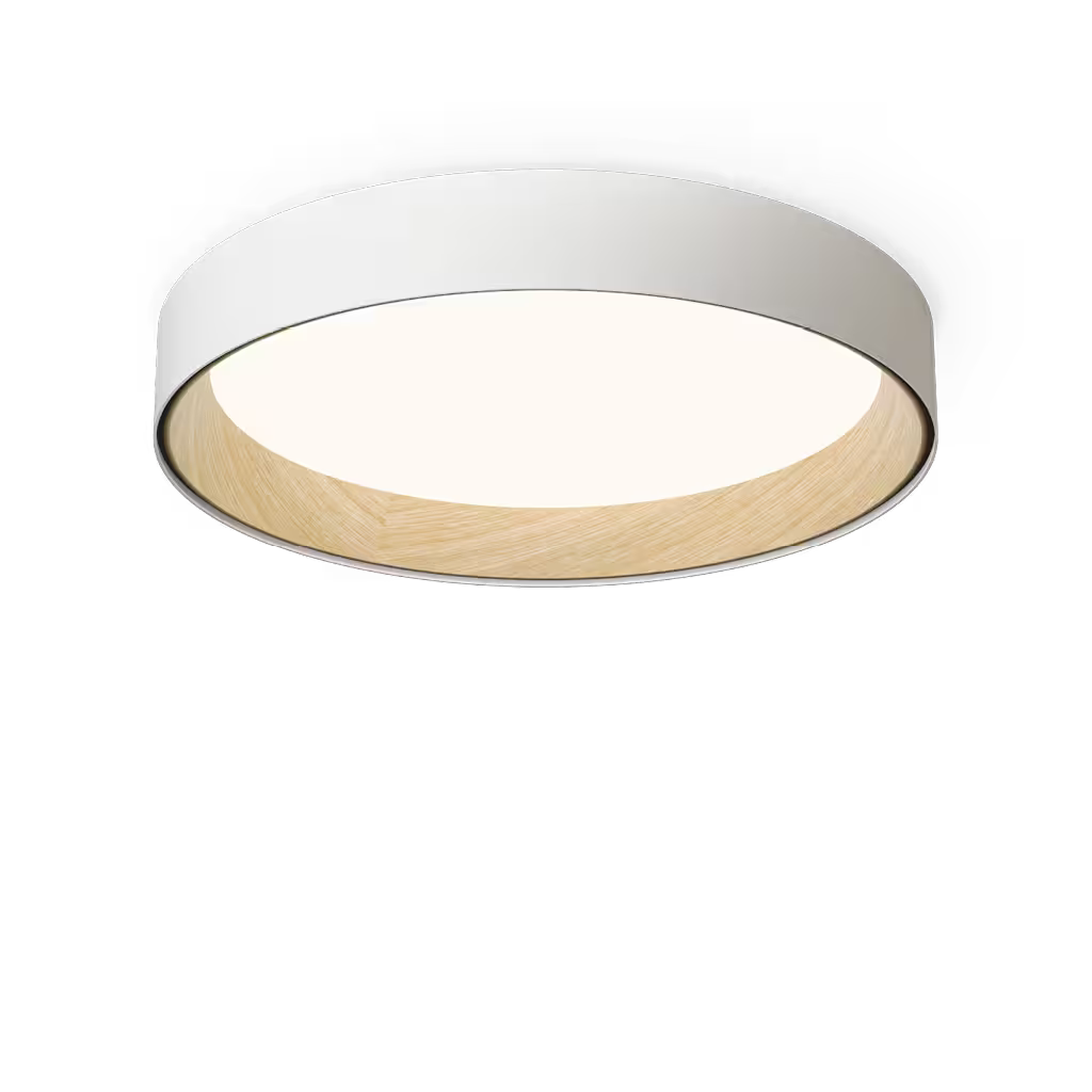 Duo 4872 4000K Ceiling Light