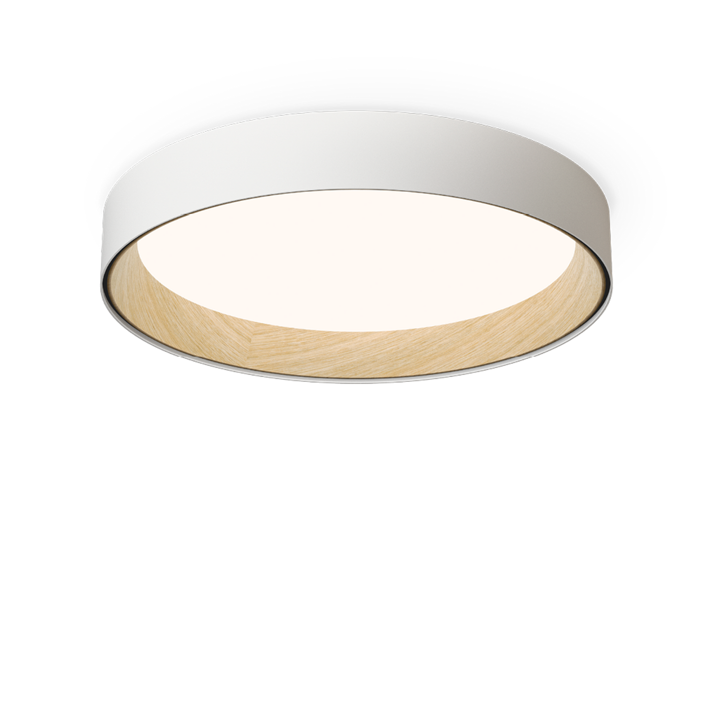 Duo 4872 4000K Ceiling Light
