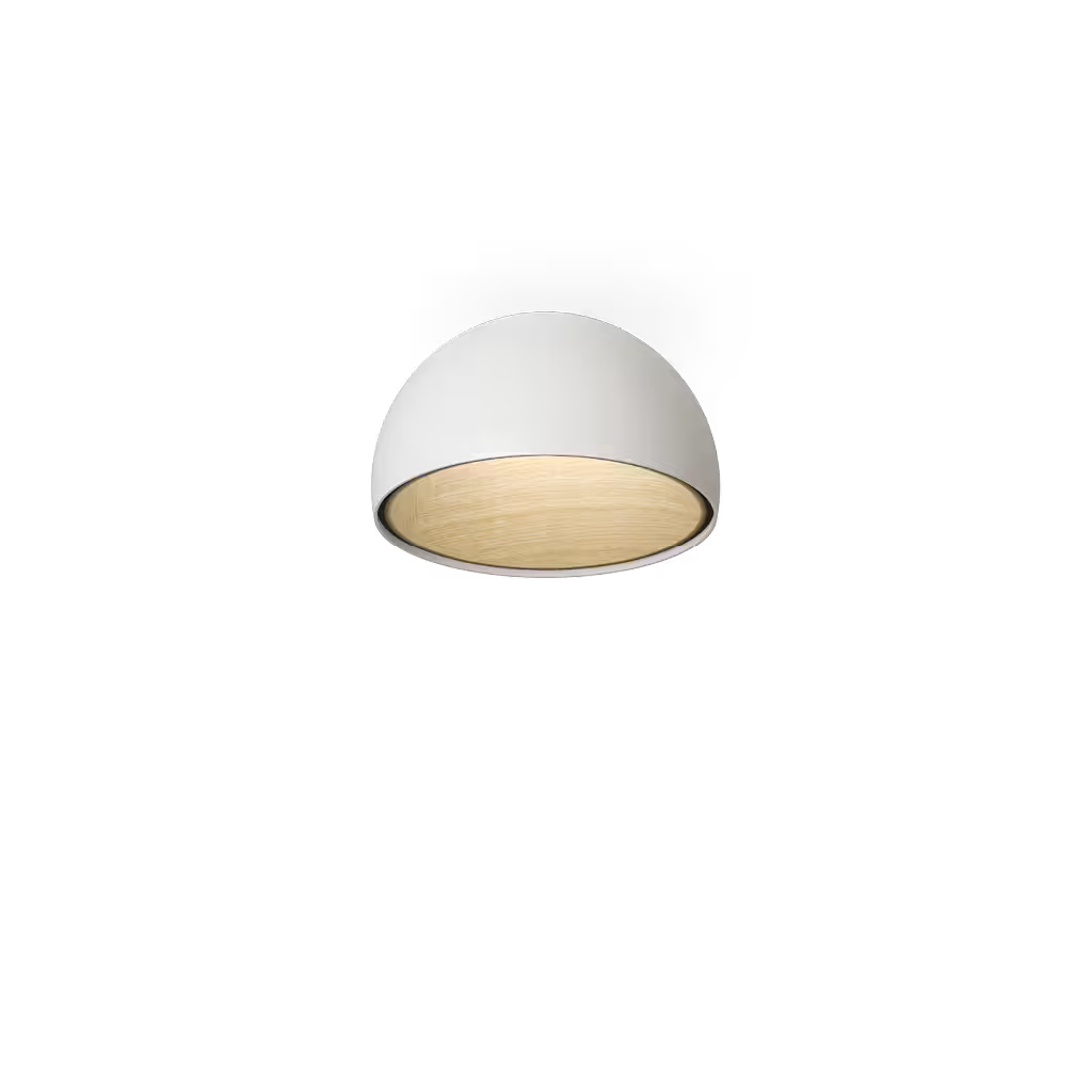 Duo 4874 2700K Ceiling Light